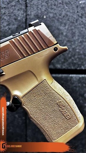 Sig Sauer P365 X: elevated capacity, optics ready, uncompromising reliability. #EDC