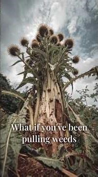 What If You've Never Reached the Root?