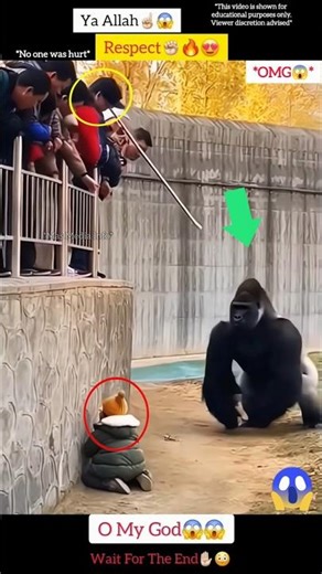 MashAllah ☝️😇 Respect 😍 #allah #shorts #status #respect