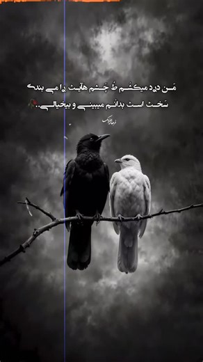 @farhad.musicc on Instagram‎: "🏴‍☠️⚡ Gareth Bale: The Silent Storm Who Shook the World They said he was just pace. They said he was injury-prone. They said he’d disappear after Madrid. But legends don’t fade. They evolve. Gareth Bale may have stepped away from football, but his legacy still echoes in stadiums around the world. When it mattered most — he always showed up. ✅ 5× Champions League winner with Real Madrid ✅ Scored iconic goals in finals — from THAT bicycle kick in Kyiv to breaking Ba