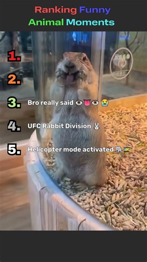 Funniest Animals Ever 💀😭