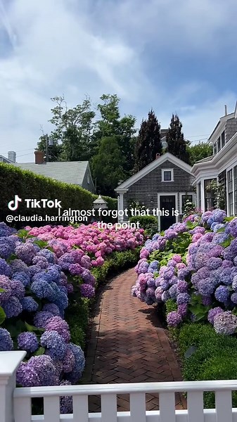 Discover the Beauty of Hydrangeas in Nantucket