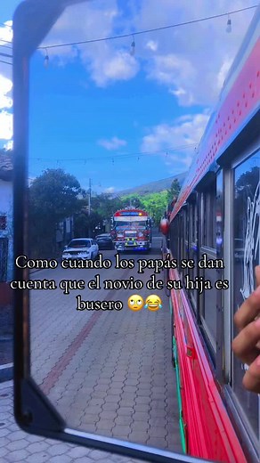 Colorful Buses Showcased in Vibrant Urban Setting