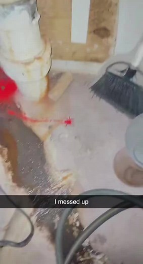 Curious Red Spider Crawling Indoors