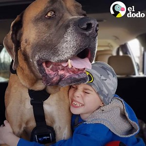 3.5M views · 37K reactions | El mejor amigo de este niño es un perro que pesa 70 kilos e hizo todo lo posible para poder estar a su lado ❤️ | El Dodo | Facebook