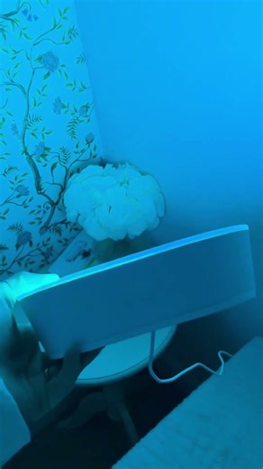 Best Mother's Day Gift | LIFX Luna Lamp