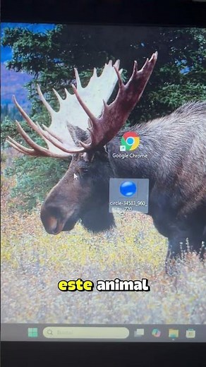 Cómo CAMBIAR los ICONOS de las APLICACIONES en PC ✅ (TUTORIAL 2025) ❤️