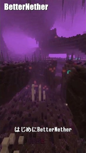 ネザー＆エンド強化！〈Mod紹介〉