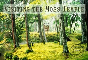 How To Visit The Moss Temple, Kyoto, Japan: SAIHO-JI | KOKEDERA