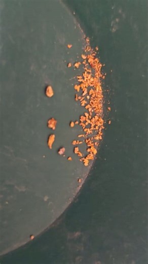 4K views · 57 reactions | Home made trommel run! #killerprospecting #goldrush #getthegold #goldprospectors #goldtrommel | Killer Prospecting | Facebook