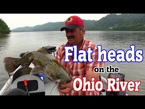 Flathead CATFISHING on the Ohio River