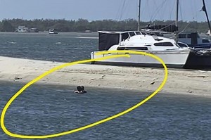 Couple caught having sex at family swimming spot makes a shocking demand to onlookers: ‘We were in disbelief’