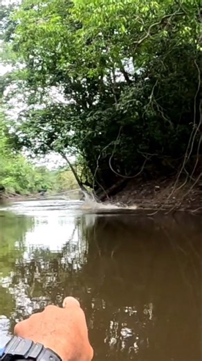 𝘼𝙣𝙙𝙚𝙧𝙨𝙤𝙣 𝙂𝙪𝙚𝙙𝙚𝙨 on Instagram: "Uma a Onça pegou, de certeza! #amazonia #selvagem #fishing"