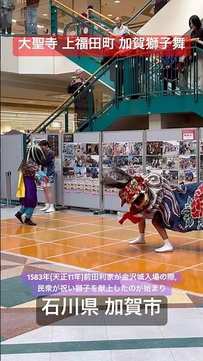 「大聖寺 上福田町 加賀獅子舞」加賀獅子舞は,天正11年（1583年）前田利家が金沢城に入城する際に民衆が祝いの獅子を献上した事が始まり。加賀市だけでも127町が独自の獅子舞を伝える。石川県 加賀市。