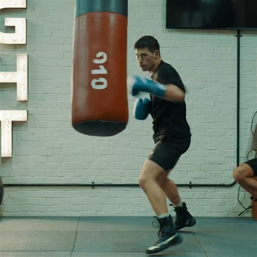 Belts. Honour. Legacy ⚔️ The official collection of the Undisputed Champion. | Dmitry Bivol