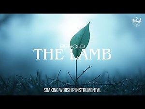 Behold The Lamb - Soaking Worship Instrumental | Prayer and Devotional