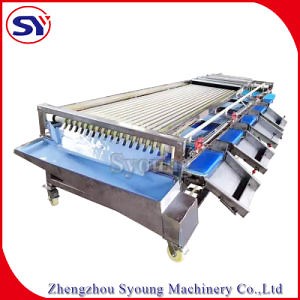 [Hot Item] Fruit&Vegetable Grading Machine Sizer for Nut Walnut