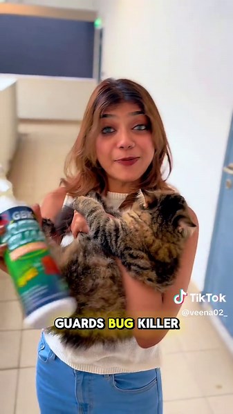 Eco-Friendly Pest Control Solutions for Home