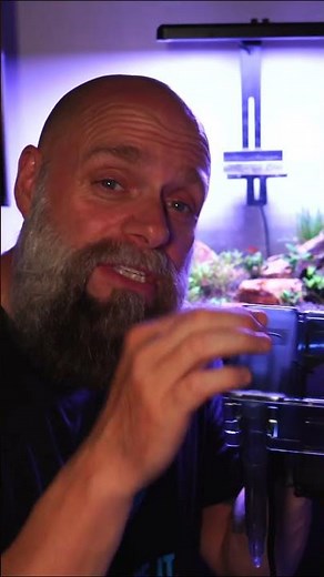 Aquaclear 20 Review #shorts #aquariumfish #fishtank #fishkeeping #aquariums #fishtankfilter