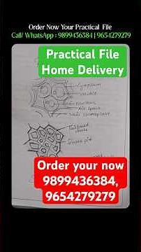 Solved Practical File PDF NIOS Class 10 Science Full Guide