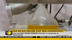 A vaccine that was developed a hundred years ago to fight TB is now being tested against coronavirus. According to new research, the BCG vaccine slows down the infection spread within the community, at least in the first 30 days. Krishna Kumar gets you more details | WION