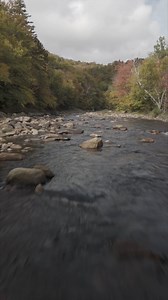 Nothing beats having a mountain freestone stream all to yourself . . . . | MidCurrent