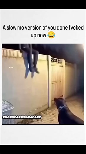 sachin Jangid on Instagram: "The post shares a slow-motion security video of a Rottweiler leaping to attack a masked intruder climbing a backyard fence at night, with overlaid "Skyfall"-style lyrics adding ironic drama to the takedown. Caption delivers a humorous cautionary tale on home defense, amplified by the dog's raw power and the intruder's futile scramble. Replies celebrate the breed's loyalty with personal anecdotes and memes, reflecting broader online admiration for protective pets amid