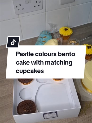 Bento Cake y Cupcakes en Colores Pastel