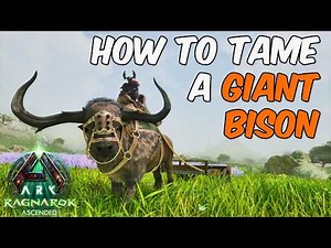How To Tame a Giant Bison in ARK Survival Ascended Ragnarok + Full Ability Guide