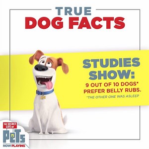 33K views · 2.1K reactions | The more you know! | The Secret Life Of Pets | Facebook