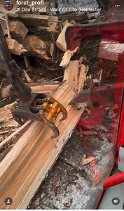 Pappel keine Eiche 😂 | FORST - PROFI