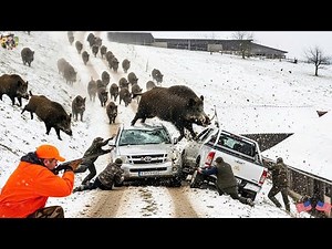Savage Snow Ambush: Wild Boar Charges Hunter, and Counterattack Begins | Wild Hog Hunt