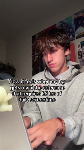 Understanding Niche References in Daily Life