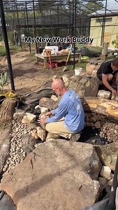 My new work buddy 🤣 | Ed The Pond Professor