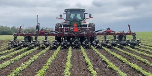 Salford breaks new ground with precision row cultivator