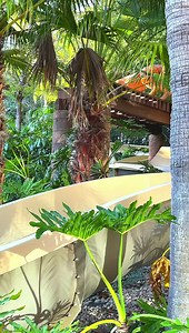 115K views · 3.4K reactions | During our recent stay at Disney’s Coronado Springs Resort, we visited the Lost City of Cibola. Jess had a lot of fun and even went down the water slide multiple times. | Autistic Interpretations | Facebook