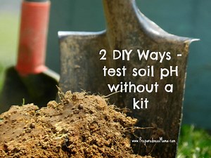 How Can I Test My Soil pH Without a Kit? | PreparednessMama