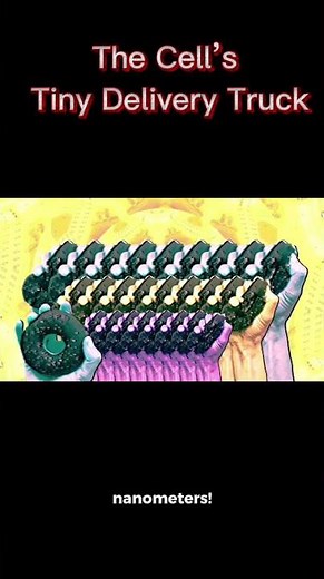 kinesin, the cell’s tiny motor, delivers cargo and keeps life moving!