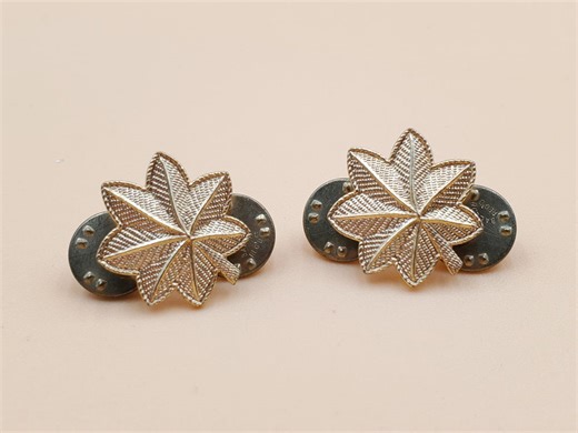 Vintage US Army Colonel Oak Leaf Insignia Badges Pin Set - Etsy