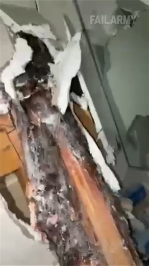 321K views · 1.9K reactions | The only time a tree should be inside is Christmas 藍 #storm #fails #fail | FailArmy | Facebook