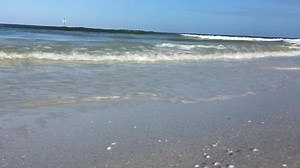 22K views · 641 reactions | A little stop on a lovely walk over to Salty's Island Bar & Grille for a breakfast smoothie  | Clearwater Beach is Awesome | Facebook