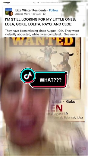 You really can’t ever predict your next scroll 😭 #goats #ibiza | goats