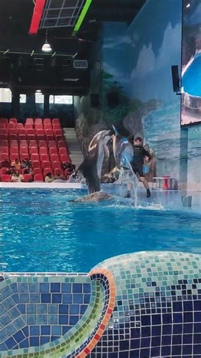 #Dubai Aquarim##Underwater Zoo##Ski Dubai##Creek#