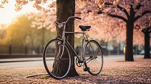 Cyclotourisme : comment la France pourrait devenir numéro un mondial du voyage à vélo d’ici 2030