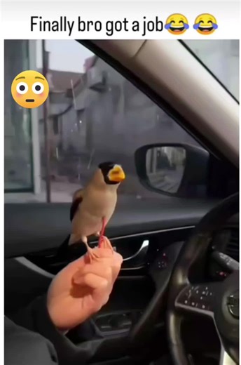 Inspiring Quotes to Reflect On