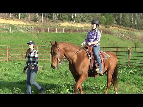 Beginners Western Lesson