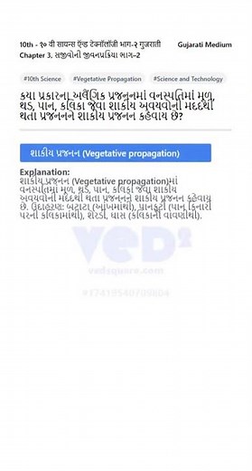 10th Science Ch3 Vegetative Propagation Explained