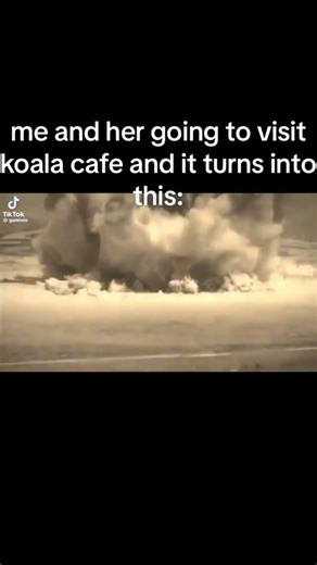 exploded, bye #koalacafe #fyp