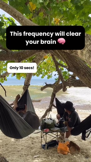 🌀 This frequency will clear your brain in only 10 seconds. ✨ This is 432 Hz Golden Ratio Frequency - and yes, it can quiet your mind. Every tone you hear is spaced by the golden ratio (1.618) - the same pattern found in galaxies, seashells, pinecones, your heartbeat, and breath. It's more than a calming sound. It's a vibrational mirror. A mathematical reset. A direct line back to the rhythm of creation itself. All 13 tones are built from 432 Hz, a tuning often linked to Earth's natural frequenc