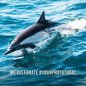 27 reactions | Some moments live on forever. Today, in honor of World...